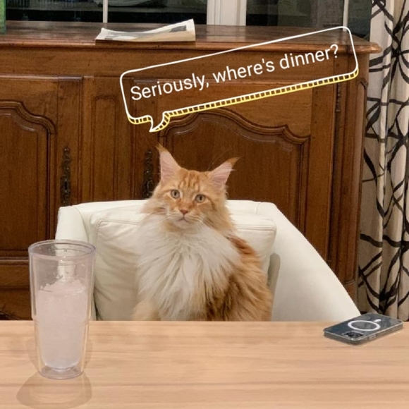 Namaste - Picture 2 of 16